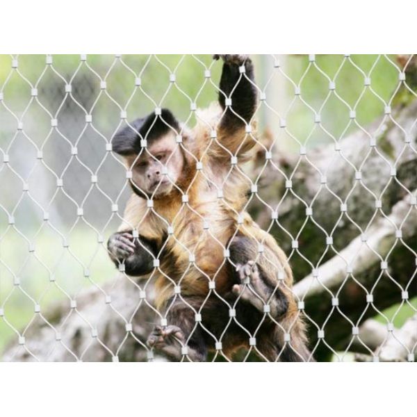 Stainless Steel Rope Mesh Zoo Fencing – High Safety and Aesthetically Pleasing