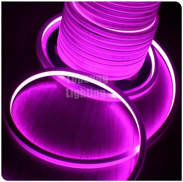 Iluminação LED de 230 V, quadrada, rosa, de 16*16 m, com faixa de néon para jardim