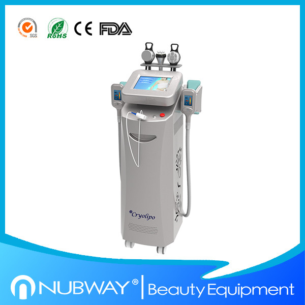 2014 Best cryolipolysis for beauty salon use / cryotherapy cryolipolysis slimming
