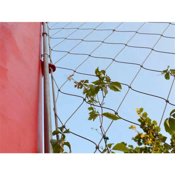 Smooth Surface Stainless Steel 316 Wire Rope Mesh For Plant climbing