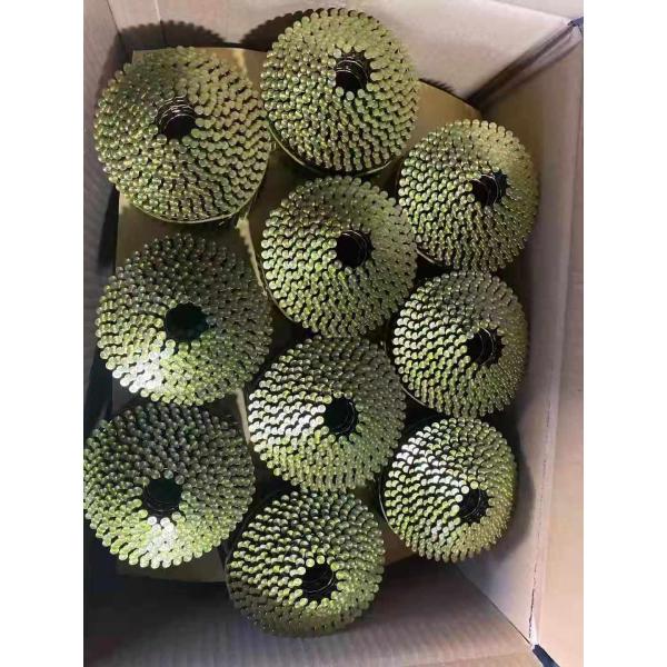 Mexico factory high quality 15 degree wire coil nails Screw Ring Smooth shank pallet coil nails