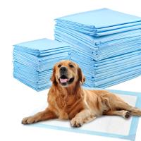 Pads d'entraînement pour animaux de compagnie super absorbant avec indicateur d'humidité