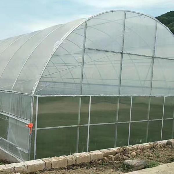 Multi Span Polytene Film Agricultural Greenhouse with Automatic Controlling System