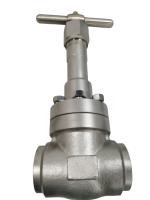 Válvula de globo criogênica PN320 da conexão de SS304/316 interruptores BW