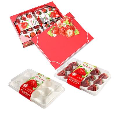 Contenants jetables pour salade de fruits en PET transparent avec plateau intérieur