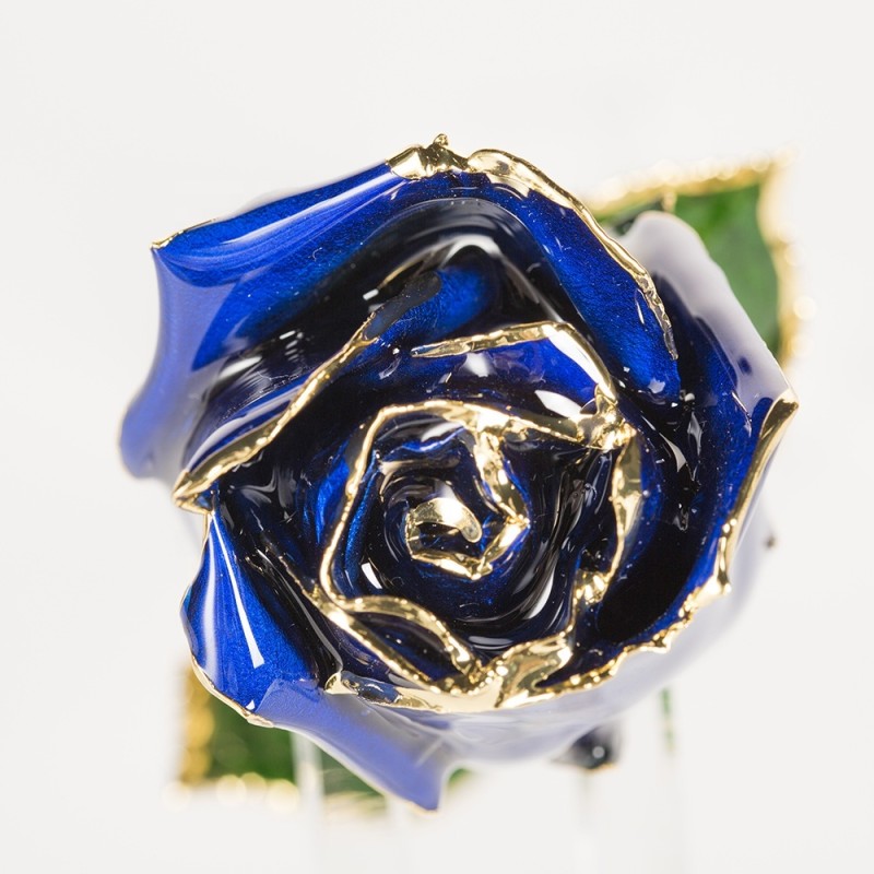Half-blooming 24k Gold  Trimmed Rose   Handmade Flowers Preserved Fresh Rose with Stem Present  Rose Gift