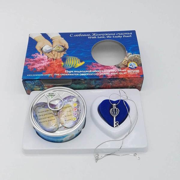 Custom Color Box Love Wish Pearl Necklace Gift Box With can Open Cage Pendant sending to everybody