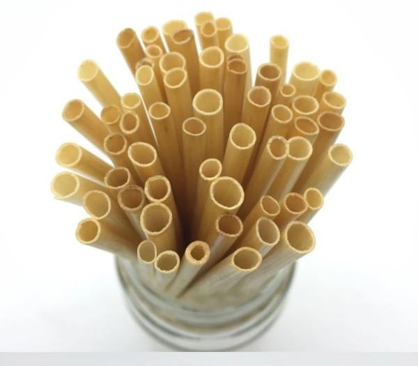 Say Goodbye to Plastic Straws and Hello to Wheat Drinking Straws Eco Friendly Option