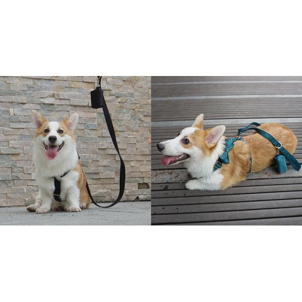 Dog Velvet Collar Leash Harness Set Luxury Collar Set Pet Leash Poop Bag OEM ODM Accepted