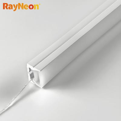 Anti Yellowing Silicone Neon Tube 15*10mm Side View LED Strip Customized Color And Length