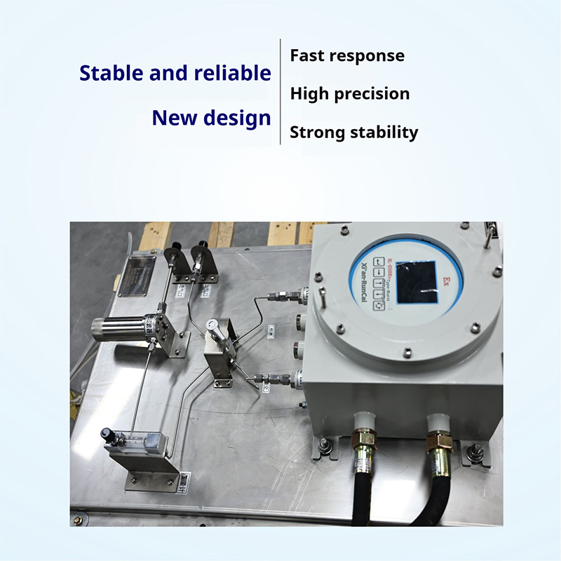 Explosion Proof Metal Multi Component Gas Analyzer For O2 CO CO2 CH4 CnHm H2S H2 NH3 Gas Monitoring
