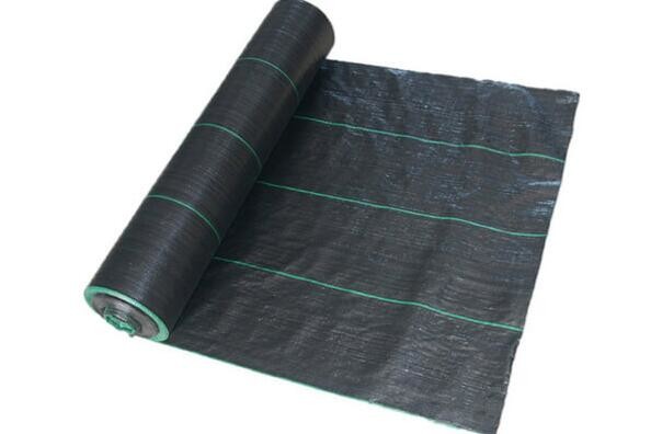 Virgin PP Polypropylene Ground Cover / Black Weed Control Fabric For Agriculture