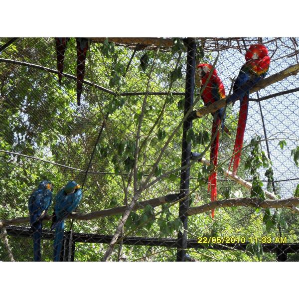 stainless steel wire rope mesh peacock fencing