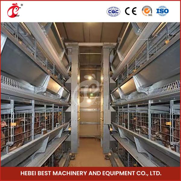 Easy to Install Automatic Poultry Layer Battery Cage System with Nipple Drinker Iris