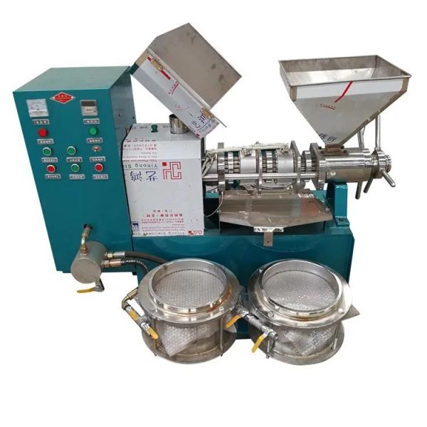 Compact 1500w Walnut Oil Press Machine Automatic For Professional Use