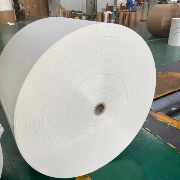Matéria prima de papel conservada em estoque do copo do diâmetro 1200mm exigida para a fabricação do copo de papel