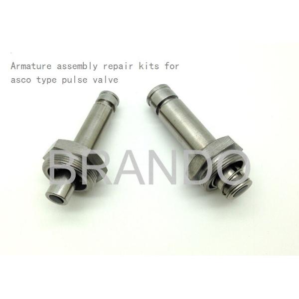 Water Solenoid Valve Solenoid Stem Silvery White Plunger Tube Height 20mm