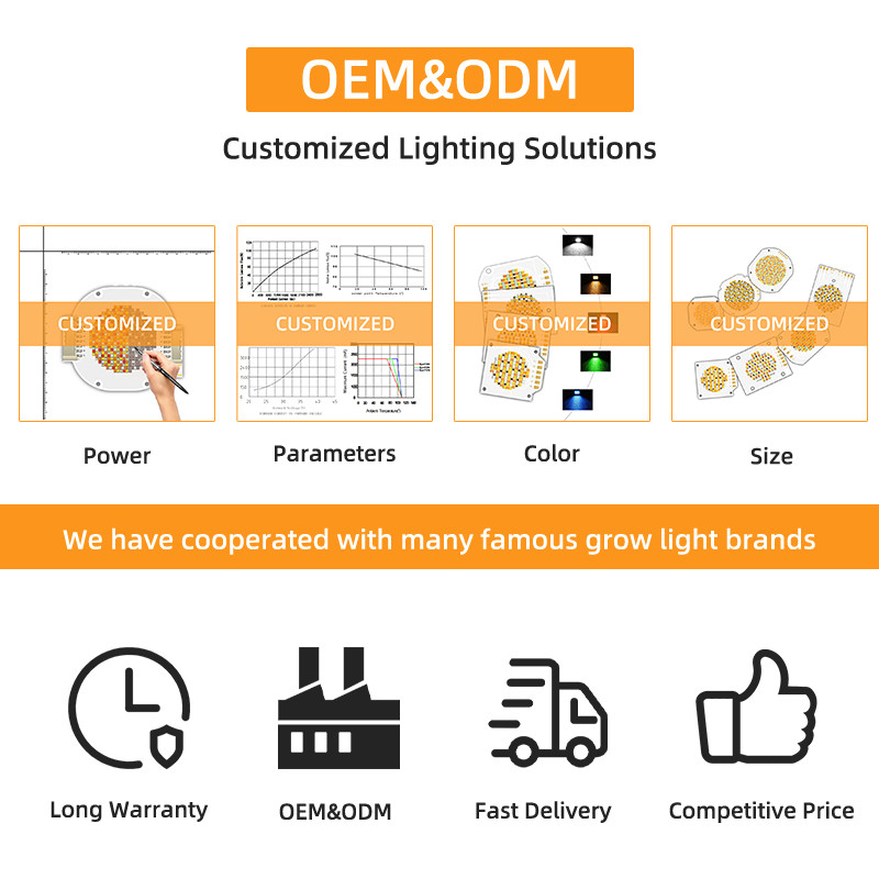 Высокая мощность 300W 6060 Led Cob Chip Bi Color для камеры