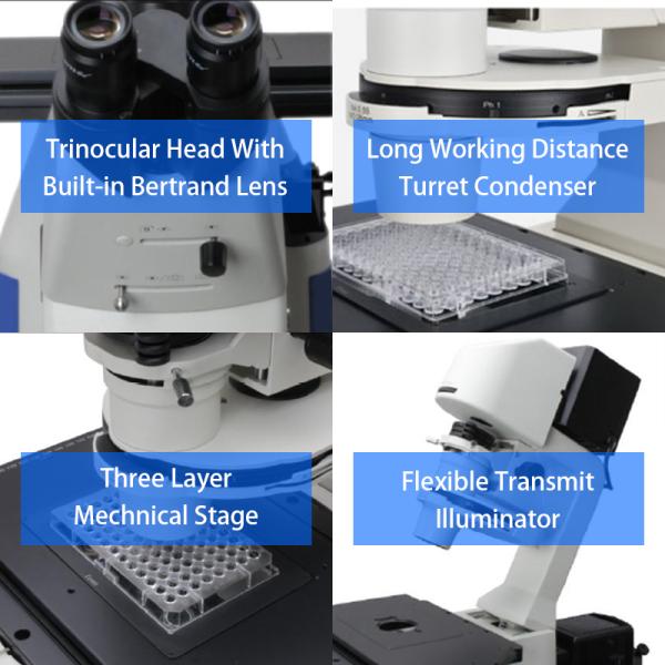 OPTO EDU A14.1096 Laboratory 22mm Inverted Fluorescence Microscope