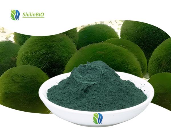 Pure Chlorella Powder