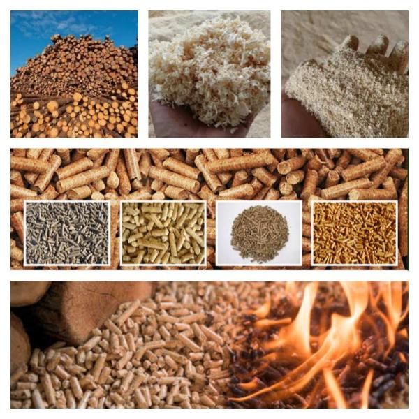 Портативная управляемая PTO деревянная мельница лепешки лепешкой питания древесины трактора