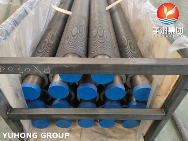 ASME SA106 GR.B HF Welded Fin Tubes | Heat Exchanger & Boiler Tubes