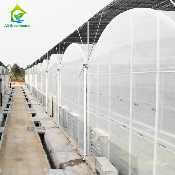 UV Protection Greenhouse Cover Materials High Strength PE Stretch Film