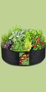 Fabric Raised Garden Bed 6x3x1ft Garden Grow Bed Bags for Growing Herbs, Flowers and Vegetables 128 Gallon