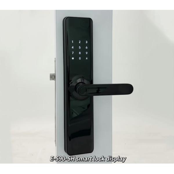 ELA Waterproof Outdoor Anti Theft Electronics Push Lock Smart Fingerprint Digital Safe Door Lock For Home Smart DoorLock