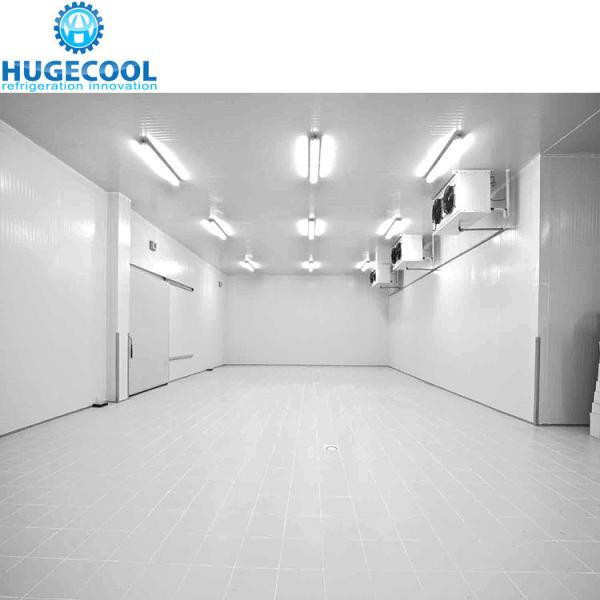 Estrutura montada de grande painel de poliuretano de alta densidade, sala fria para carne e peixe