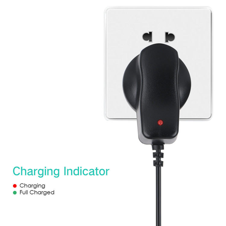OEM электропитания переходника 4.2V 1A силы стены DC AC 50g/ODM