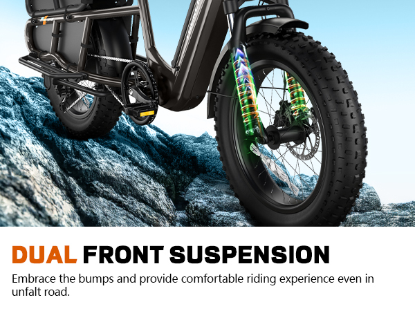 20 Inch Fat Tire  Rack for Carrying Goods & Passengers, Powerful Motor, Long Range Long Tail Electric Bike with Cargo