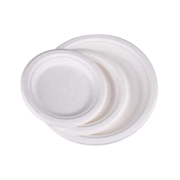 Biodegradable Plastic Tray Plate Cornstarch PLA Environmental Corn Starch