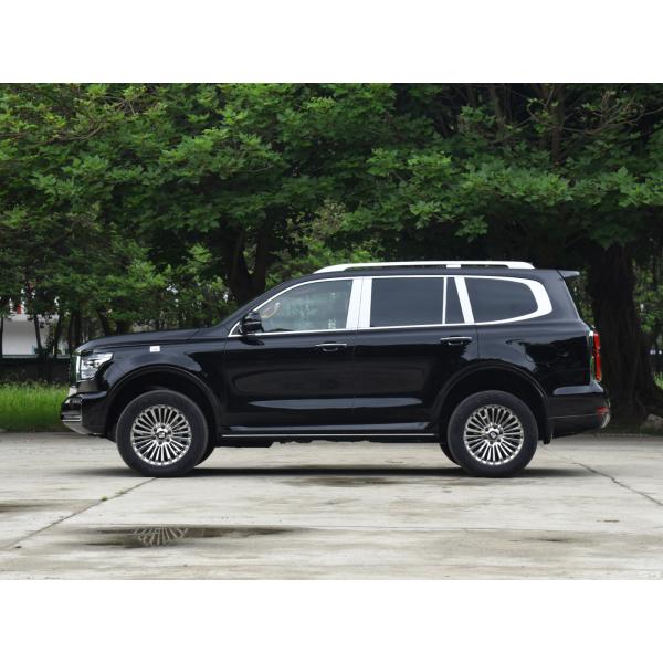 Black 7 Seater SUV Tank OEM Medium Large Business Version Petrol Hybrid SUV