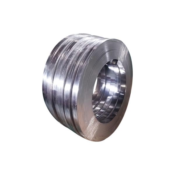 Прокладки нержавеющей стали ASTM 301 толщина 3.0mm ГЕКТОЛИТРА поверхностная