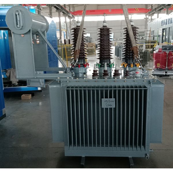 Customized Oil Immersed Power Transformer 11kV 33kV Industrial Distribution Transformer Supplier