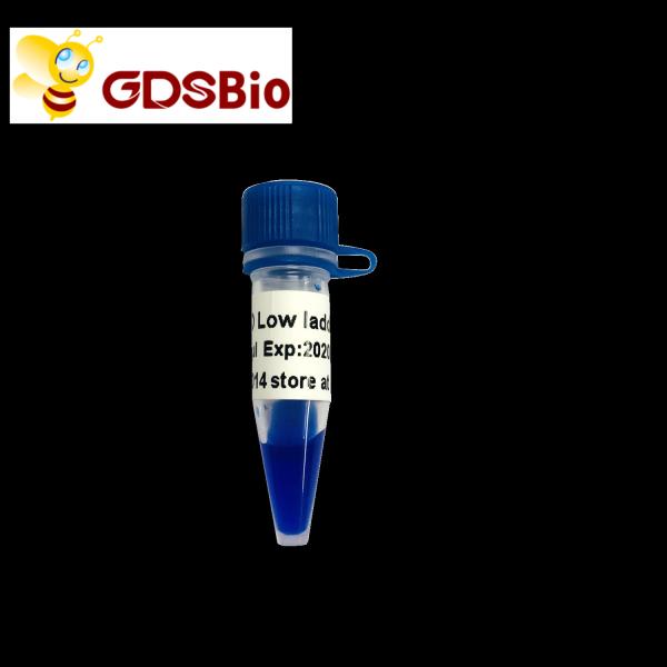 LD Low Ladder DNA Marker LM1031 (60 preps)/LM1032 (60 preps×3)