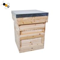 ruche nationale murée simple d'abeille de boîte en bois de ruche de 20mm