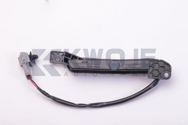 2024 Jetour Traveller T2 Rear Right Wheel Arch Light F26-4417010 AE/AB/AC/AD