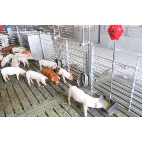 Casa de cervecería moderna estructura de acero cobertizo de ganado de metal dimensiones personalizadas