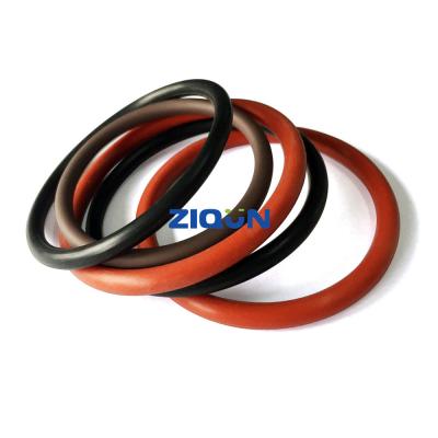 Custom Color Material Dustproof NBR FKM FFKM Seal O Ring