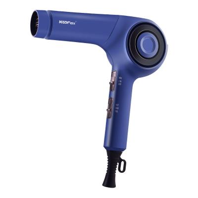 Negativo prático portátil do secador de cabelo do motor da casa BLDC iônico