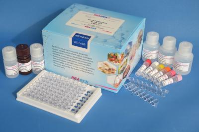 Plasmid DNA Kanamycin Fine Test Elisa Kit High Repetitive 90% Accuracy