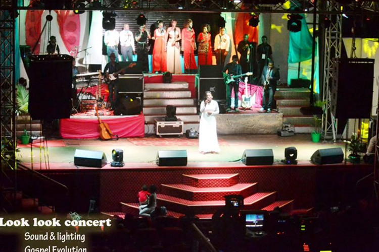 Outdoor Small Stage Monitor Speakers System Two Way Coaxial Audio Equipment