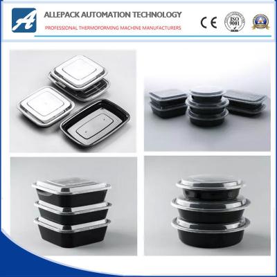 100% Compostable Food Packaging Bagasse Lunch Containers ISO Certification