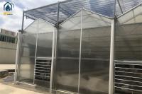Organic Crop Farming Polycarbonate Greenhouse Indoor Vegetable Greenhouse