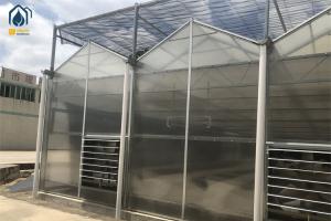 Organic Crop Farming Polycarbonate Greenhouse Indoor Vegetable Greenhouse