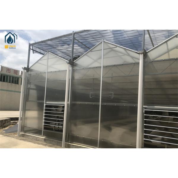 Steel Frame Polycarbonate Sheet Greenhouses Indoor Organic Growers Greenhouse
