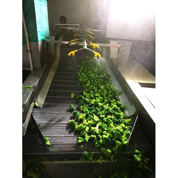 New Winter Crop No Worm IQF Frozen Broccoli Florets