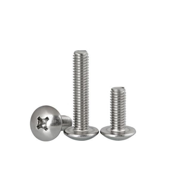 Stainless Steel M3 M4 M5 M6 M8 Cross Recessed Phillips Mushroom Umbrella Truss Head Screws